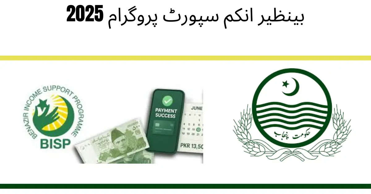 BISP Survey