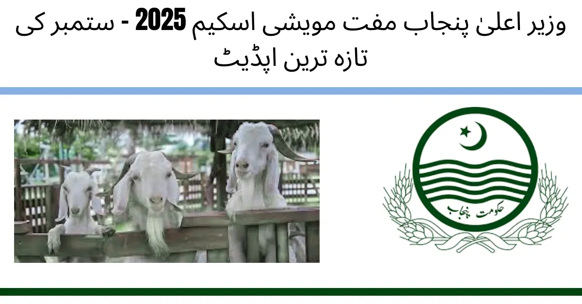 CM Punjab Free Livestock Program 2025